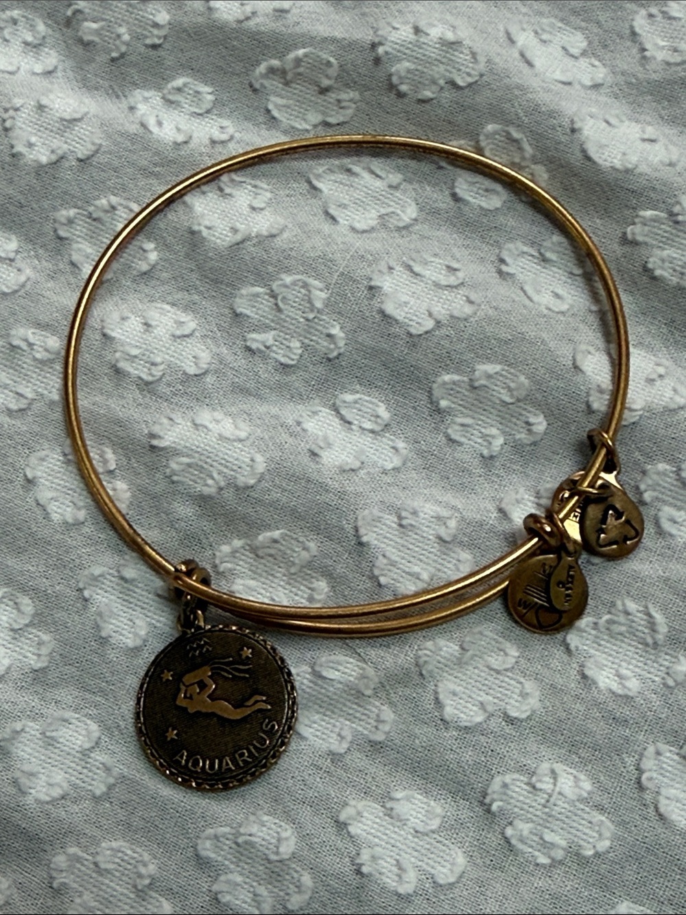 Alex and Ani Aquarius Bracelet